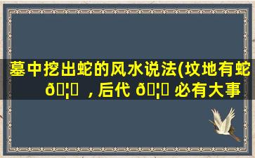 墓中挖出蛇的风水说法(坟地有蛇 🦆  , 后代 🦈 必有大事发生)